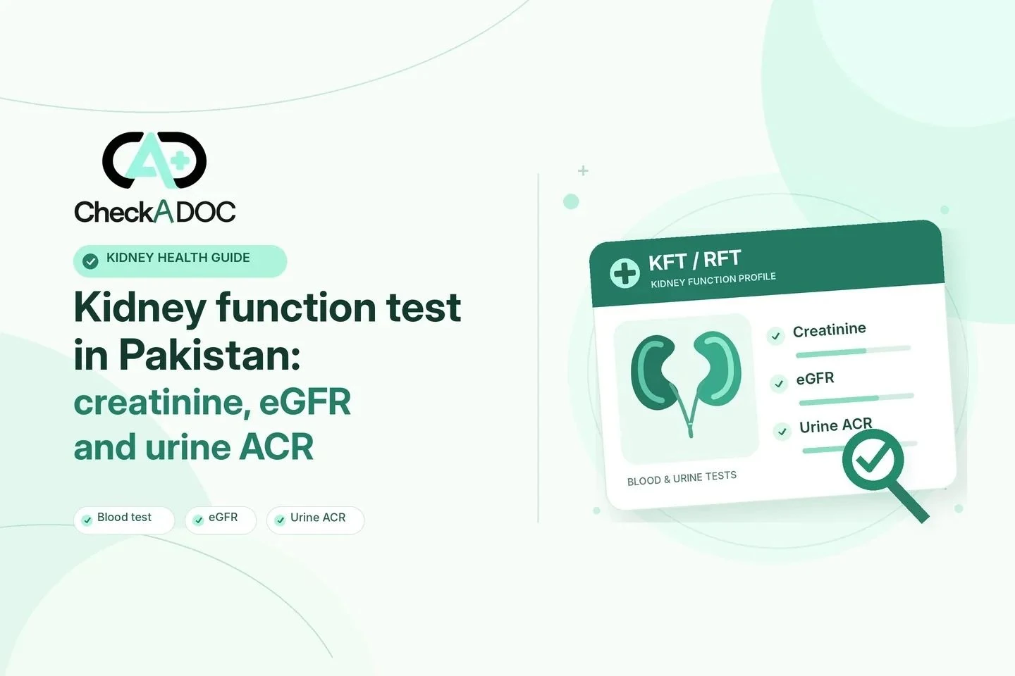 Kidney function test